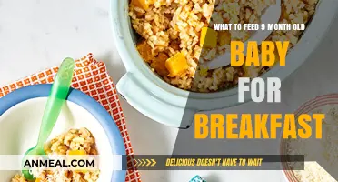 Nutritious Breakfast Ideas for Your 9-Month-Old Baby's Healthy Start