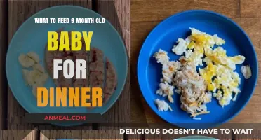 Nutritious Dinner Ideas for Your 9-Month-Old Baby's Healthy Growth