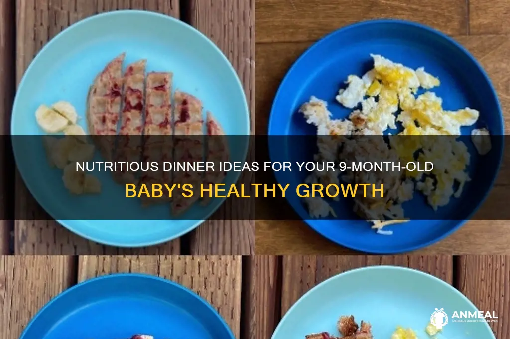 what to feed 9 month old baby for dinner