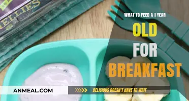 Healthy Breakfast Ideas for Your One-Year-Old Toddler