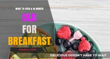 Nutritious Breakfast Ideas for Your 16-Month-Old Toddler