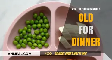Nutritious and Delicious Dinner Ideas for Your 16-Month-Old Toddler