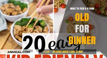 Nutritious and Delicious Dinner Ideas for Your 4-Year-Old Child