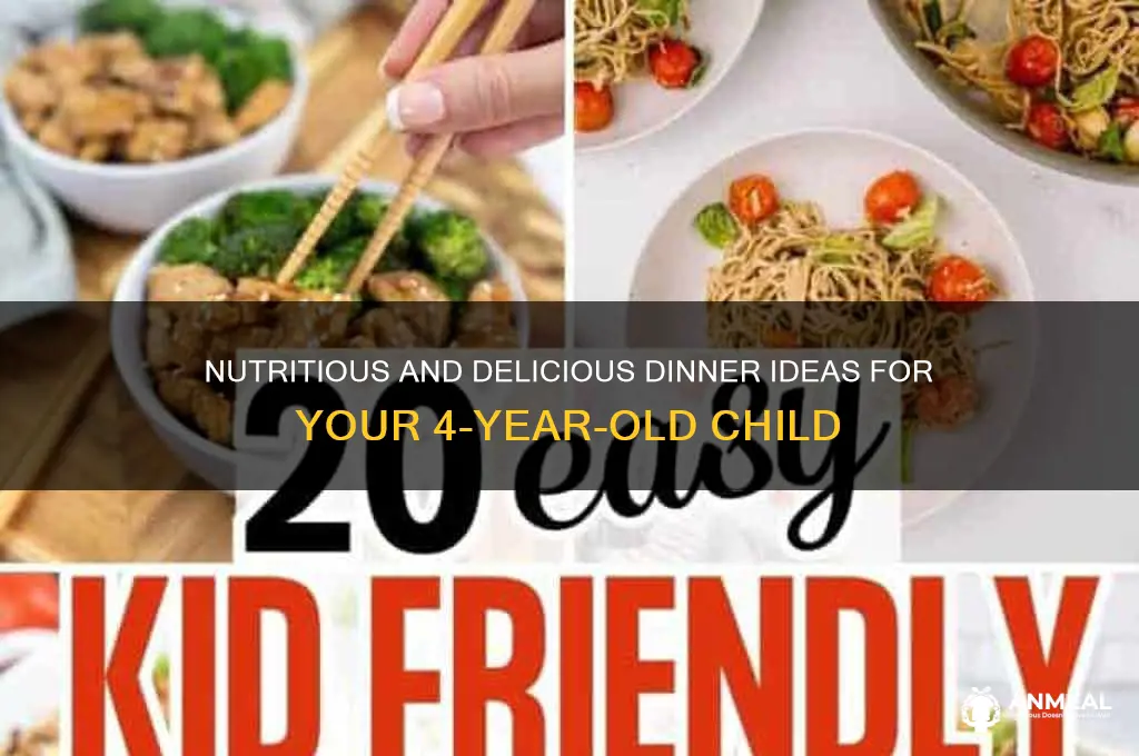 what to feed a 4 year old for dinner