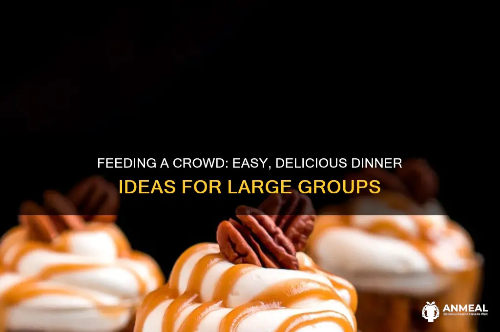 what to feed a big crowd for dinner