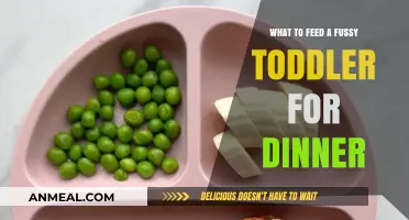 Delicious Dinner Ideas to Tempt Your Picky Toddler's Taste Buds