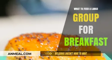 Easy Breakfast Ideas for Feeding a Crowd: Quick, Delicious, and Budget-Friendly