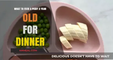 Delicious Dinner Ideas for Picky Toddlers: Healthy Meals They'll Love