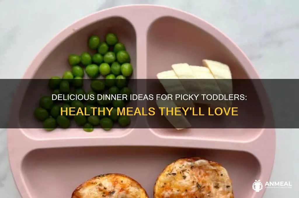 what to feed a picky 2 year old for dinner