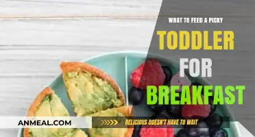 Delicious Toddler Breakfast Ideas for Picky Eaters: Quick & Healthy Options