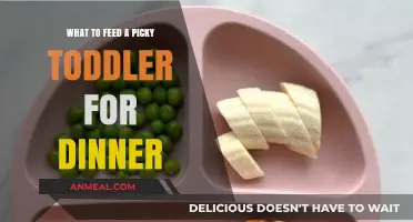 Toddler-Approved Dinner Ideas: Winning Recipes for Picky Eaters