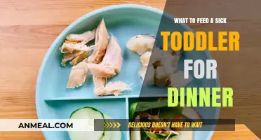 Nourishing a Sick Toddler: Gentle Dinner Ideas for Quick Recovery