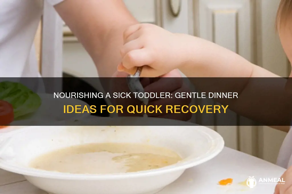what to feed a sick toddler for dinner