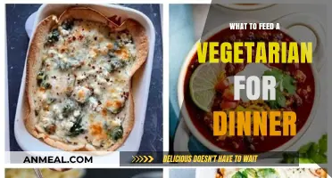 Delicious Vegetarian Dinner Ideas: Creative, Nutritious, and Satisfying Meals