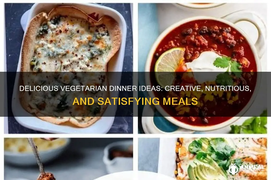 what to feed a vegetarian for dinner