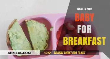 Nutritious Baby Breakfast Ideas: Simple, Healthy Morning Meals for Infants
