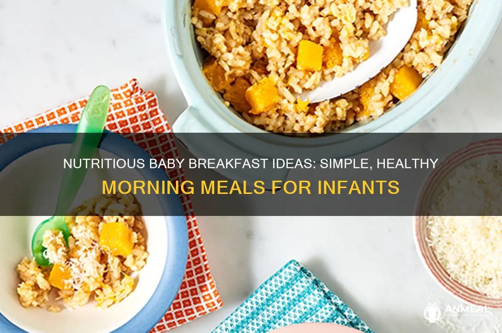 what to feed baby for breakfast