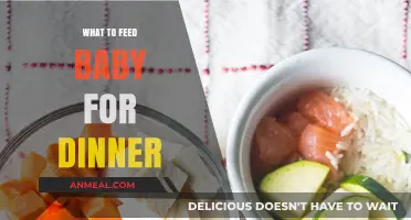 Nutritious and Easy Baby Dinner Ideas for Happy Little Tummies