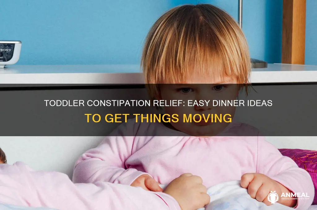 what to feed constipated toddler for dinner