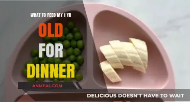 Nutritious and Easy Dinner Ideas for Your One-Year-Old Toddler