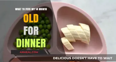 Nutritious and Easy Dinner Ideas for Your 14-Month-Old Toddler