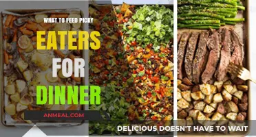 Delicious Dinner Solutions for Picky Eaters: Easy, Nutritious, and Kid-Approved Meals