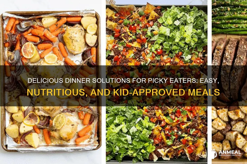 what to feed picky eaters for dinner