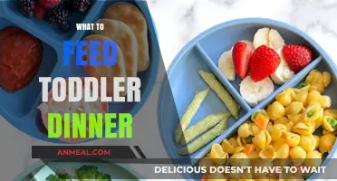 Nutritious Toddler Dinner Ideas: Simple, Healthy Meals for Little Ones