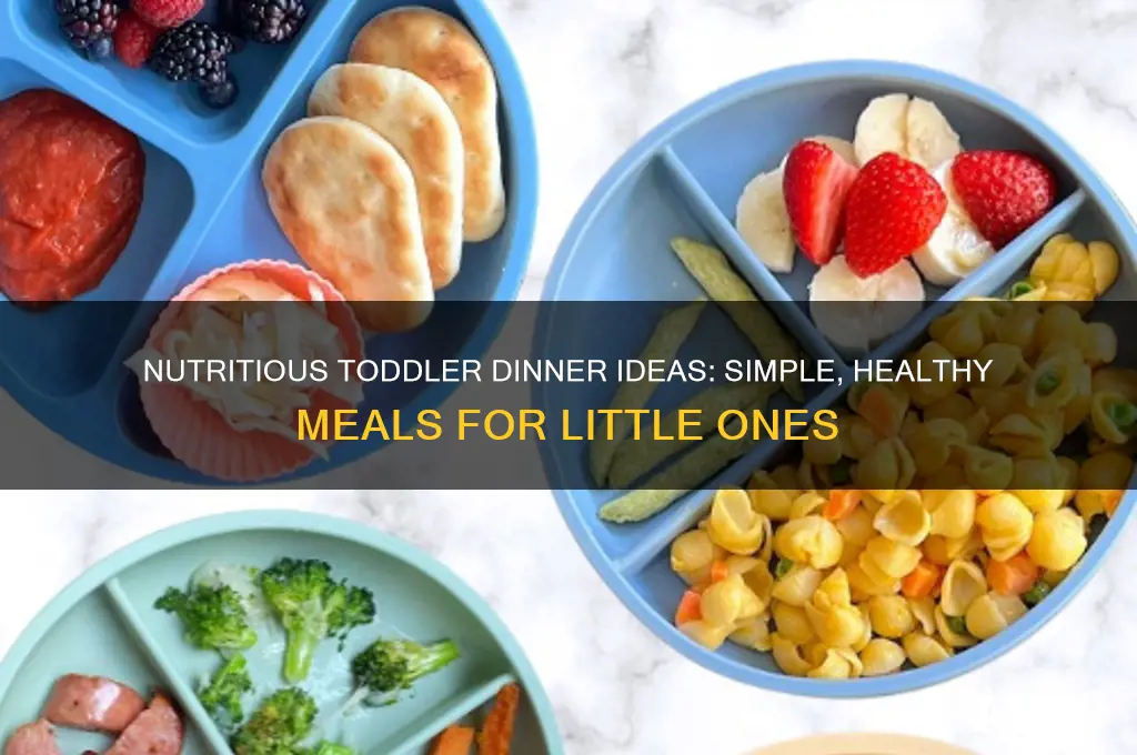 what to feed toddler dinner