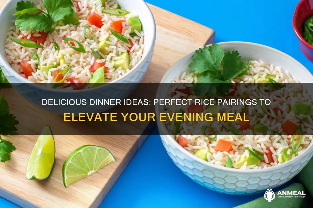 what to fix with rice for dinner