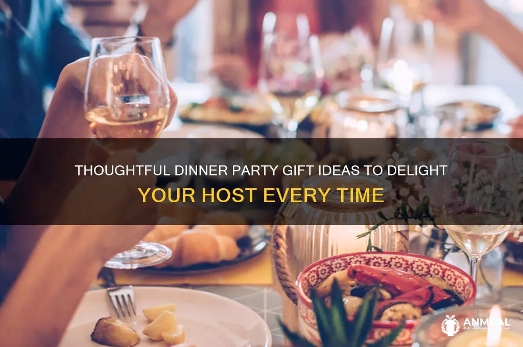 what to get as a dinner party gift
