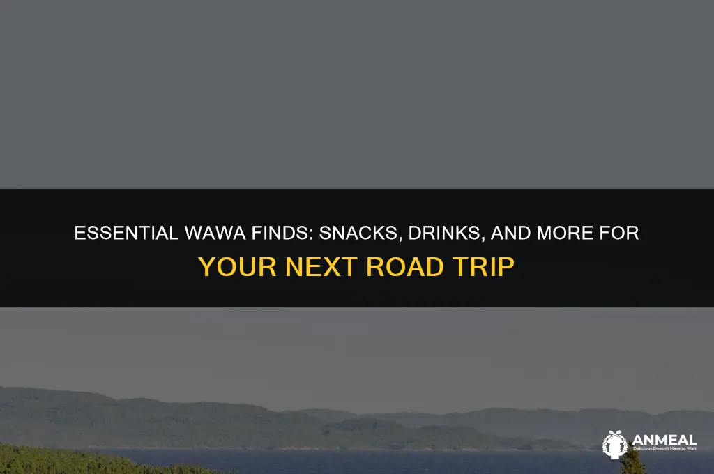 what to get at wawa