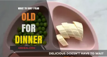 Healthy and Easy Dinner Ideas for Your One-Year-Old Toddler