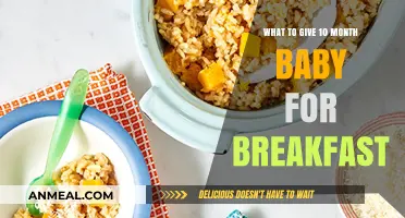 Nutritious Breakfast Ideas for Your 10-Month-Old Baby's Healthy Start