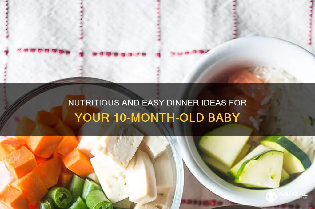 what to give 10 month old for dinner
