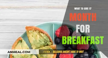 Nutritious Breakfast Ideas for Your 17-Month-Old Toddler