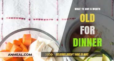 Nutritious Dinner Ideas for Your 6-Month-Old Baby's Healthy Growth