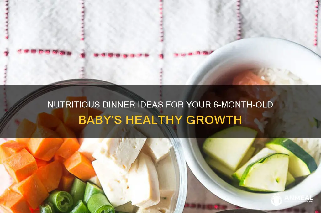what to give 6 month old for dinner