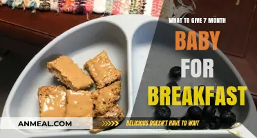 Nutritious Breakfast Ideas for Your 7-Month-Old Baby's Healthy Start