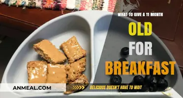 Nutritious Breakfast Ideas for Your 11-Month-Old Baby's Healthy Start
