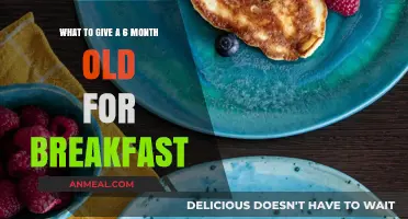 Nutritious Breakfast Ideas for Your 6-Month-Old Baby's Healthy Start
