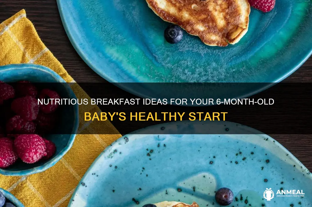 what to give a 6 month old for breakfast
