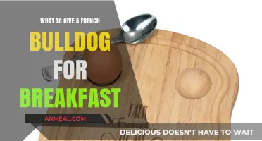 Healthy Breakfast Ideas for Your French Bulldog: Delicious and Nutritious Options