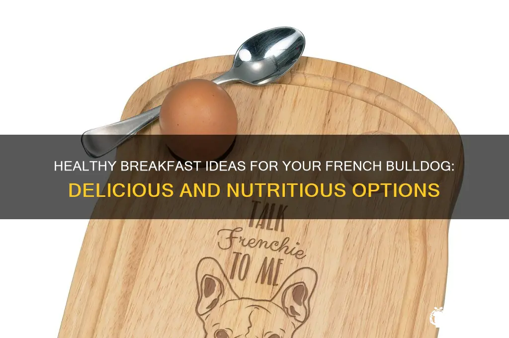 what to give a french bulldog for breakfast