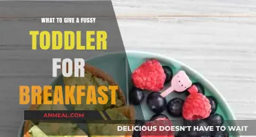 Delicious Toddler Breakfast Ideas: Quick, Nutritious Meals for Picky Eaters