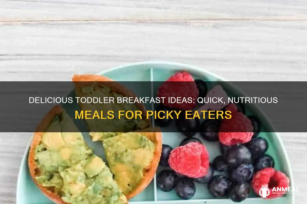 what to give a fussy toddler for breakfast