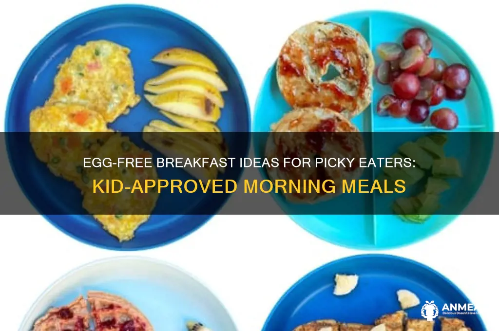 what to give a kid that hates eggs for breakfast