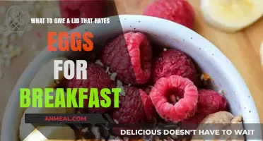Egg-Free Breakfast Ideas: Delightful Morning Treats for the Egg-Averse Lid