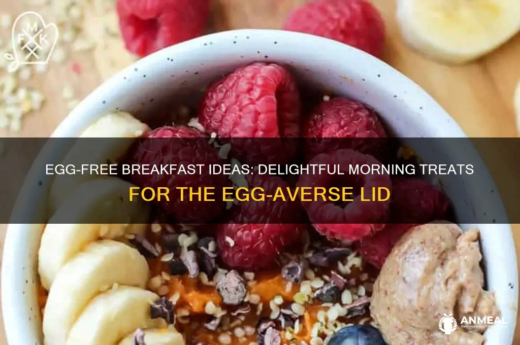what to give a lid that hates eggs for breakfast