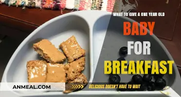 Nutritious Breakfast Ideas for Your One-Year-Old Baby's Healthy Start